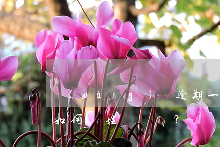 網(wǎng)貸逾期一次的影響大嗎？該如何處理？